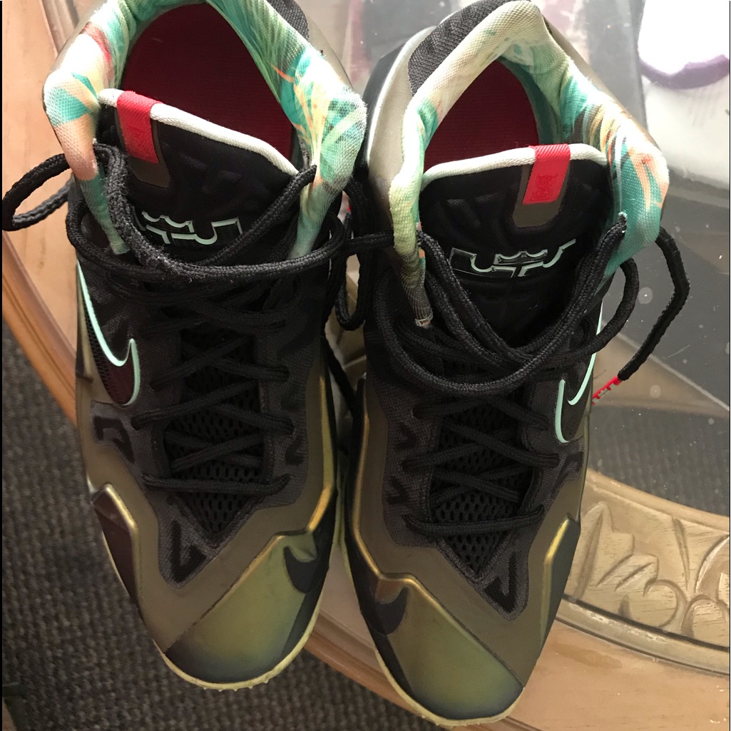 Lebron Shoes